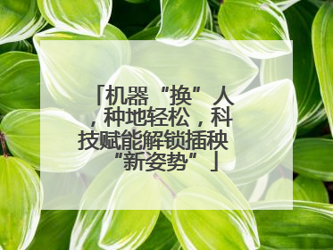 机器“换”人，种地轻松，科技赋能解锁插秧“新姿势”