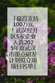 最高支持100万元！武汉经开区5家企业入选2025年度武汉市重点研发计划拟立项项目名单