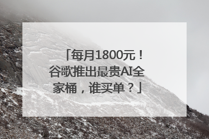 每月1800元！谷歌推出最贵AI全家桶，谁买单？