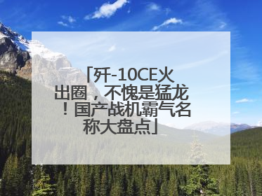 歼-10CE火出圈，不愧是猛龙！国产战机霸气名称大盘点