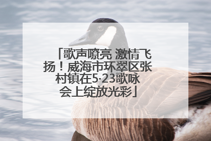 歌声嘹亮 激情飞扬！威海市环翠区张村镇在5·23歌咏会上绽放光彩