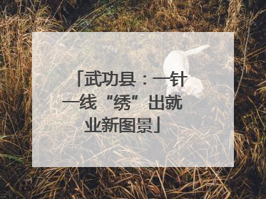 武功县：一针一线“绣”出就业新图景
