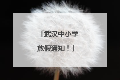 武汉中小学放假通知！