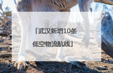 武汉新增10条低空物流航线