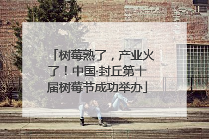 树莓熟了，产业火了！中国·封丘第十届树莓节成功举办