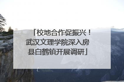 校地合作促振兴！武汉文理学院深入房县白鹤镇开展调研