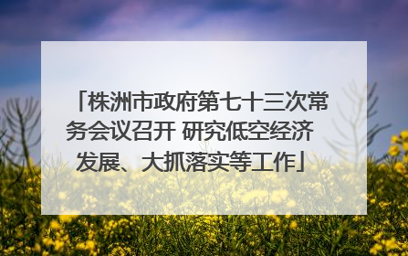 株洲市政府第七十三次常务会议召开 研究低空经济发展、大抓落实等工作