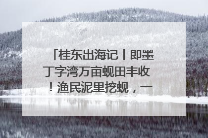 桂东出海记丨即墨丁字湾万亩蚬田丰收！渔民泥里挖蚬，一天上岸过千斤