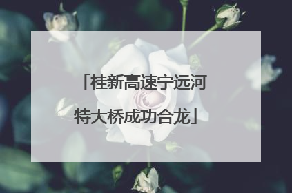 桂新高速宁远河特大桥成功合龙