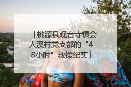 桃源县观音寺镇会人溪村党支部的“48小时”救援纪实