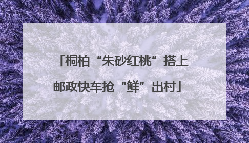 桐柏“朱砂红桃”搭上邮政快车抢“鲜”出村
