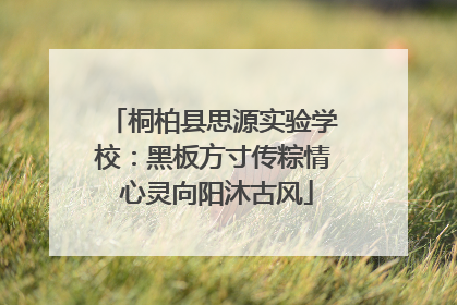 桐柏县思源实验学校：黑板方寸传粽情 心灵向阳沐古风