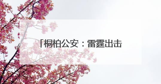 桐柏公安：雷霆出击严查“小广告” 斩断电诈“黑引流”