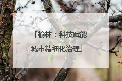 榆林：科技赋能城市精细化治理