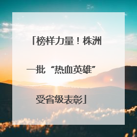 榜样力量！株洲一批“热血英雄”受省级表彰