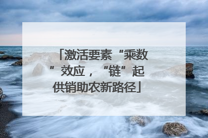 激活要素“乘数”效应，“链”起供销助农新路径
