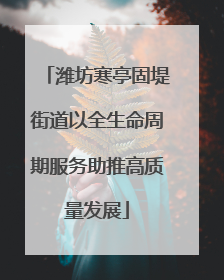 潍坊寒亭固堤街道以全生命周期服务助推高质量发展