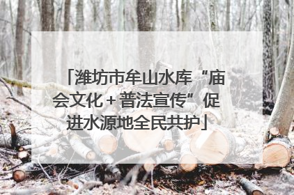 潍坊市牟山水库“庙会文化＋普法宣传”促进水源地全民共护