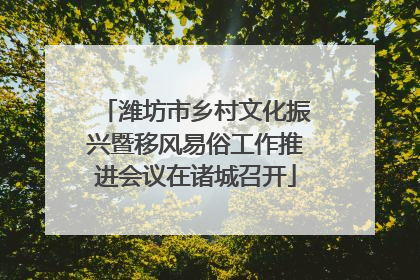 潍坊市乡村文化振兴暨移风易俗工作推进会议在诸城召开