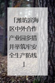 潍坊滨海区中外合作产业园多措并举筑牢安全生产防线
