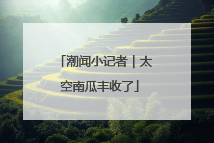 潮闻小记者｜太空南瓜丰收了