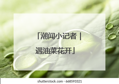 潮闻小记者｜遇油菜花开
