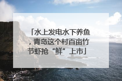 水上发电水下养鱼，青岛这个村百亩竹节虾抢“鲜”上市
