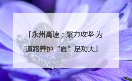 永州高速：聚力攻坚 为道路养护“夏”足功夫