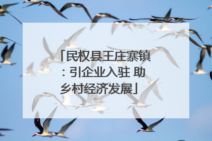 民权县王庄寨镇：引企业入驻 助乡村经济发展