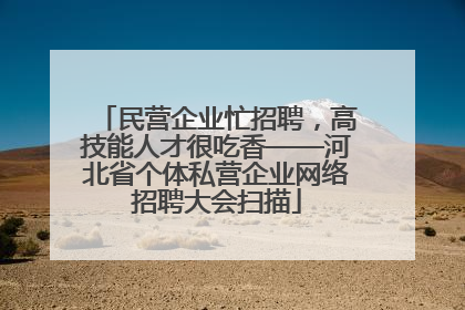 民营企业忙招聘，高技能人才很吃香——河北省个体私营企业网络招聘大会扫描