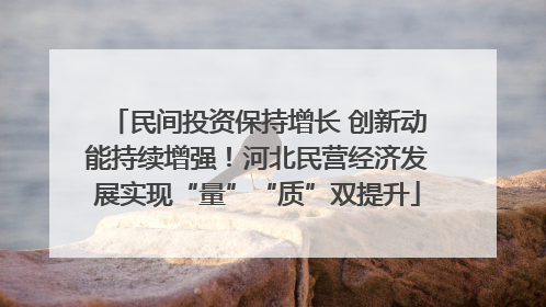 民间投资保持增长 创新动能持续增强！河北民营经济发展实现“量”“质”双提升