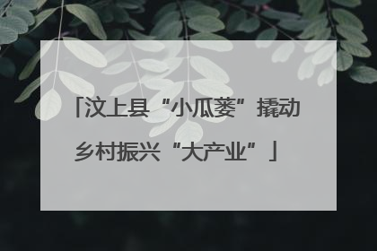 汶上县“小瓜蒌”撬动乡村振兴“大产业”