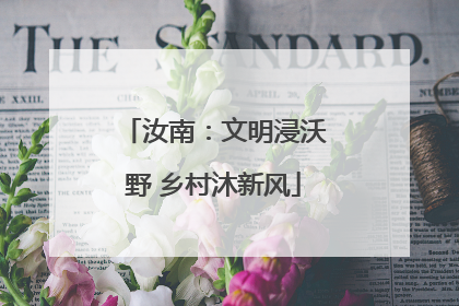 汝南：文明浸沃野 乡村沐新风