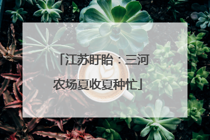 江苏盱眙：三河农场夏收夏种忙