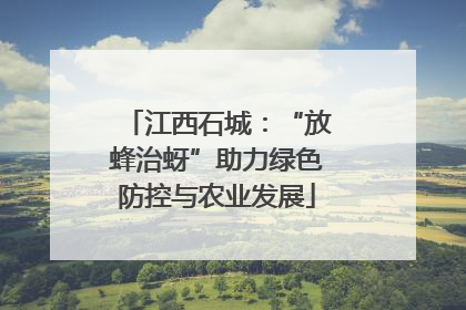 江西石城：“放蜂治蚜”助力绿色防控与农业发展