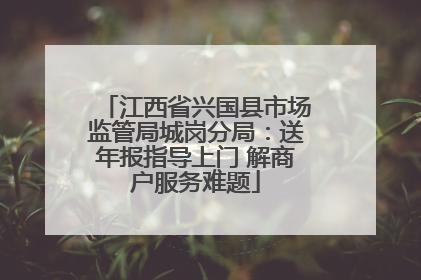 江西省兴国县市场监管局城岗分局：送年报指导上门 解商户服务难题