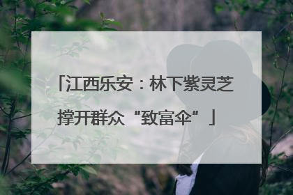 江西乐安：林下紫灵芝撑开群众“致富伞”