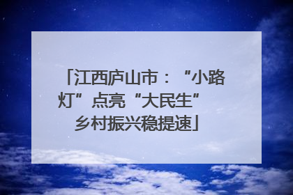 江西庐山市：“小路灯”点亮“大民生” 乡村振兴稳提速