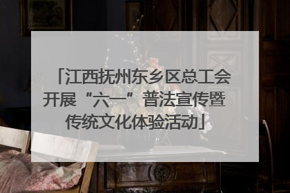 江西抚州东乡区总工会开展“六一”普法宣传暨传统文化体验活动