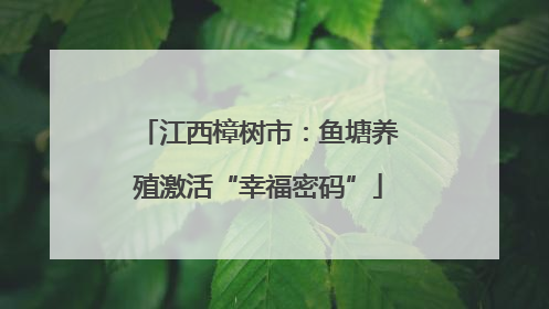 江西樟树市：鱼塘养殖激活“幸福密码”
