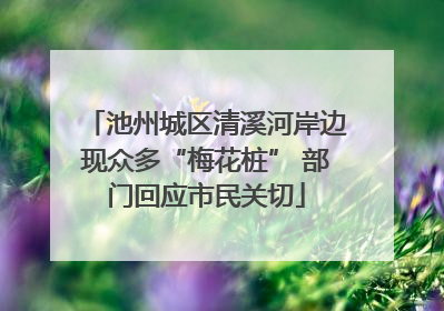 池州城区清溪河岸边现众多“梅花桩” 部门回应市民关切