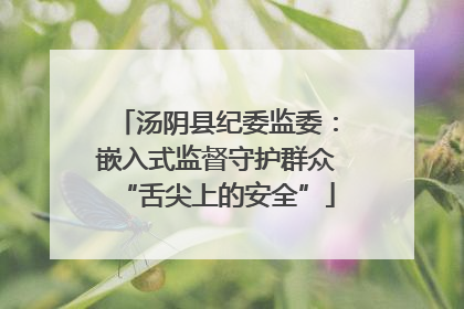 汤阴县纪委监委：嵌入式监督守护群众“舌尖上的安全”