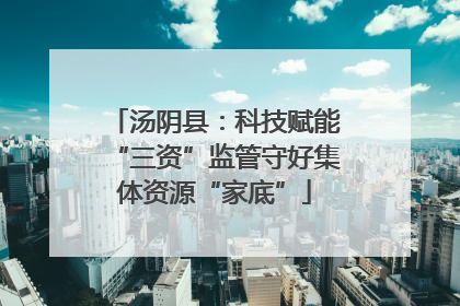 汤阴县：科技赋能“三资”监管守好集体资源“家底”