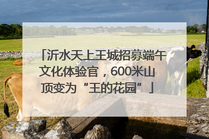 沂水天上王城招募端午文化体验官，600米山顶变为“王的花园”