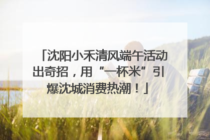 沈阳小禾清风端午活动出奇招，用“一杯米”引爆沈城消费热潮！
