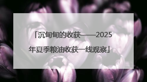 沉甸甸的收获——2025年夏季粮油收获一线观察