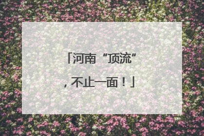 河南“顶流”，不止一面！