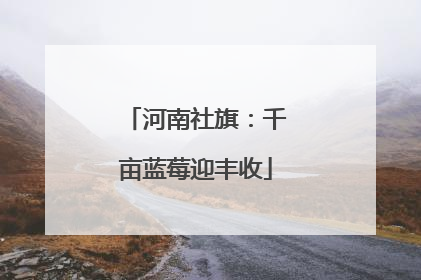 河南社旗：千亩蓝莓迎丰收