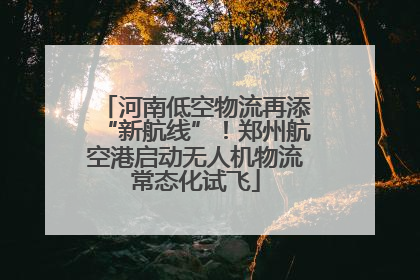 河南低空物流再添“新航线”！郑州航空港启动无人机物流常态化试飞