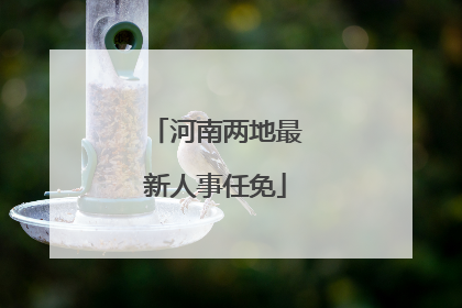 河南两地最新人事任免